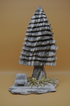 Großer Binntree mit Bank